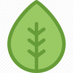 绿色的<em>叶子</em>