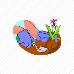 <em>花</em>