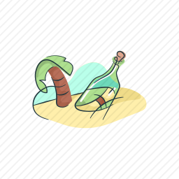 海滩