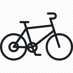 <em>自行车</em>