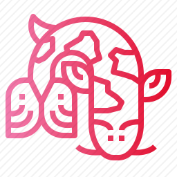 <em>鲤鱼</em>