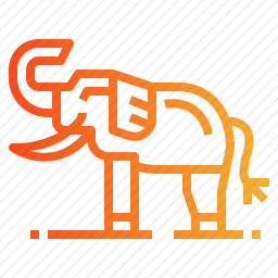 大象