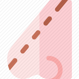 鼻子