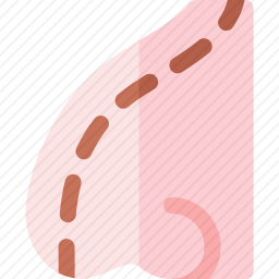 鼻子