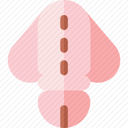 阴茎