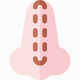 鼻子