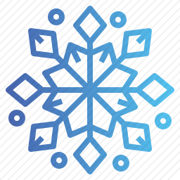 <em>雪花</em>