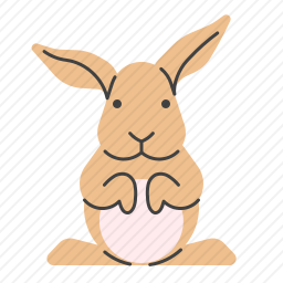 兔子