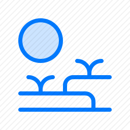 <em>沙漠</em>