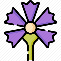 <em>花</em>