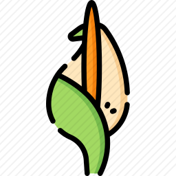 <em>花</em>