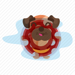 游泳的巴哥犬