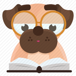看书的巴哥犬