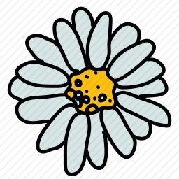 <em>花</em>
