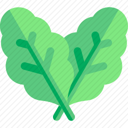<em>菠菜</em>