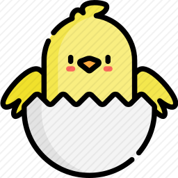 小鸡