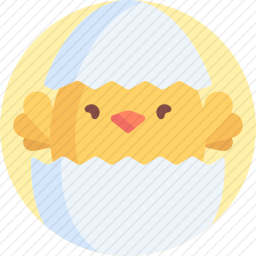 小鸡