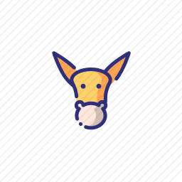 驴