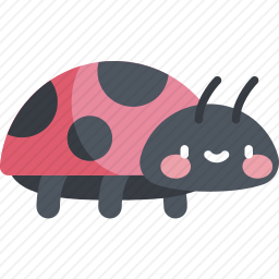 瓢虫