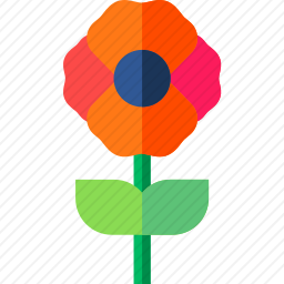 <em>罂粟</em>