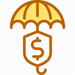 保险