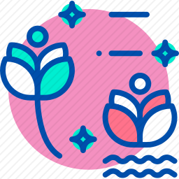 莲花