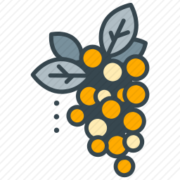 <em>浆果</em>
