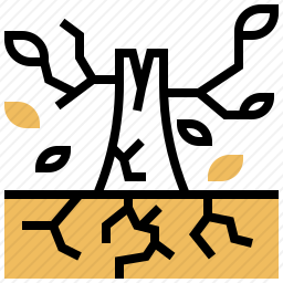 干旱