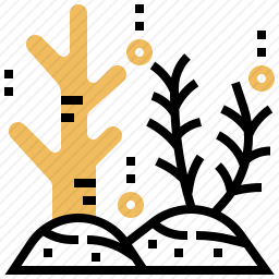 珊瑚