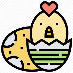 小鸡