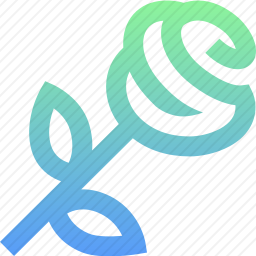 <em>玫瑰</em>