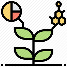 植物