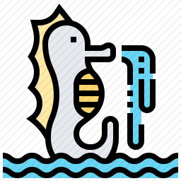 <em>海马</em>