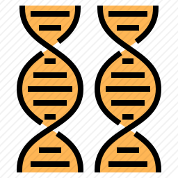 DNA