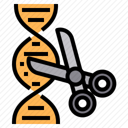 DNA