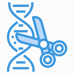 DNA