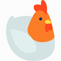母鸡