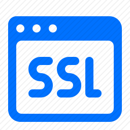 <em>SSL</em>