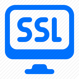 <em>SSL</em>