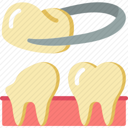 牙冠