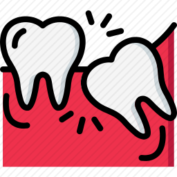 <em>牙齿</em>