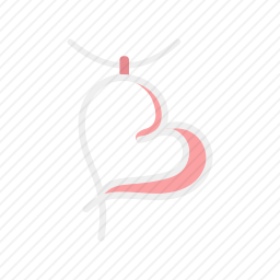 <em>项链</em>