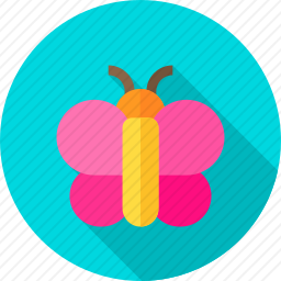 <em>蝴蝶</em>