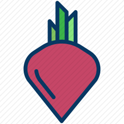 <em>甜菜</em>