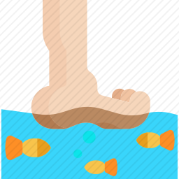 鱼