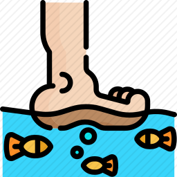 <em>鱼</em><em>疗</em>