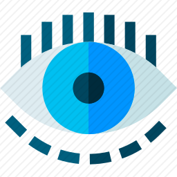 <em>眼睛</em>