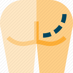 <em>臀肌</em>