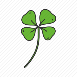 <em>四叶草</em>