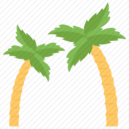 棕榈树